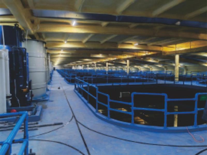 Modernized Smart Aquaculture Facility